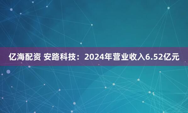亿海配资 安路科技：2024年营业收入6.52亿元