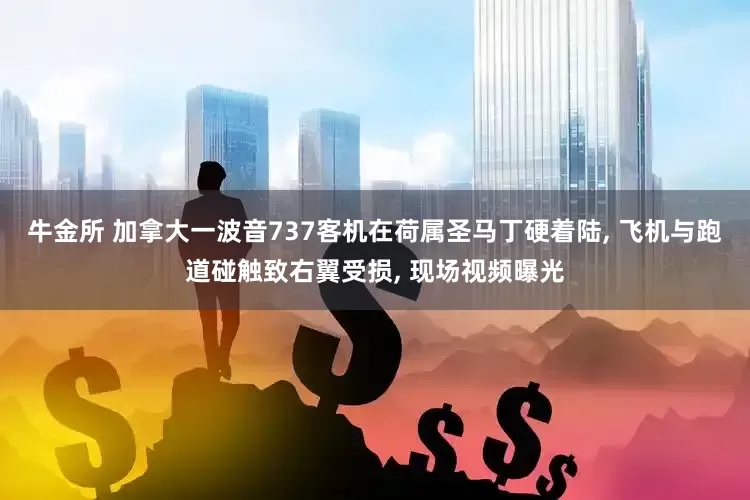 牛金所 加拿大一波音737客机在荷属圣马丁硬着陆, 飞机与跑道碰触致右翼受损, 现场视频曝光
