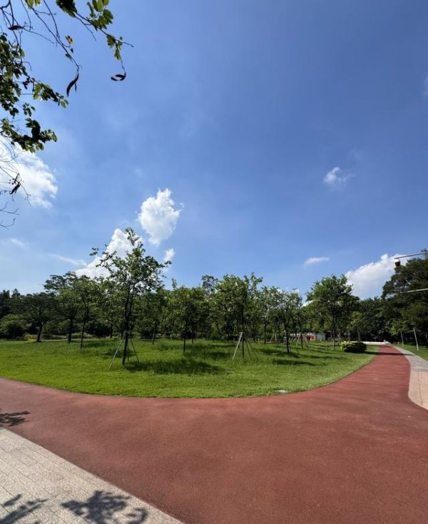 国尚策略 超过10天不跑，速度会下降么，亲身测验，结果会和你想的不一样。